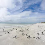 224 Surf Song Resort