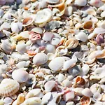 1-1004 - Ocean Sands