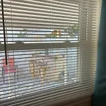 Michaels -Beachside Bungalows