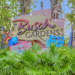 100 - Las Brisas