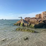 Open - New Owner-Renovation/Location/Walk To Beach
