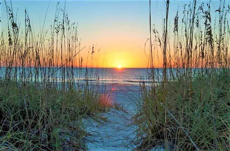 Hotel St Pete Vacations By Techtravel Vr