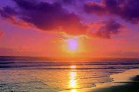 The Monterey Beach St. Pete Beach