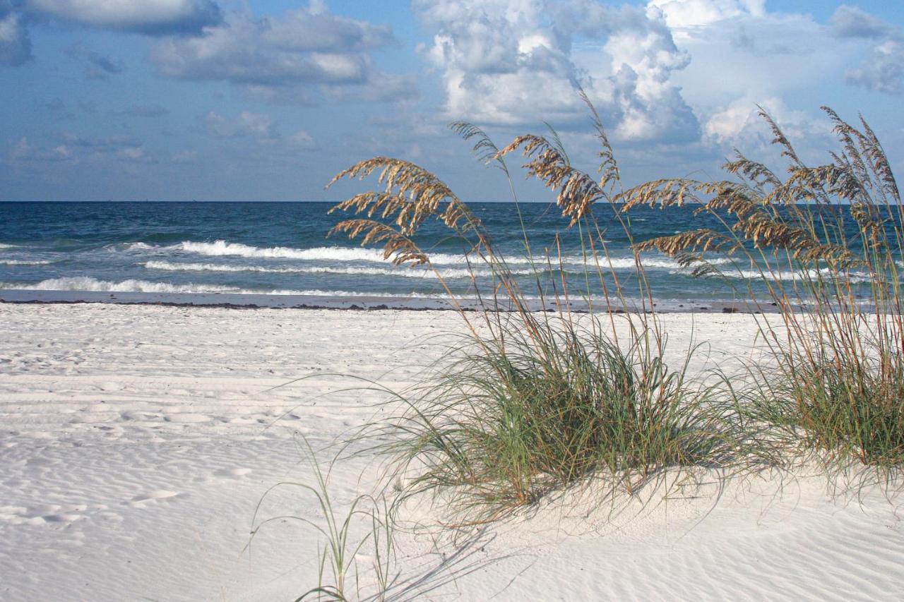 The Palm St. Pete Beach