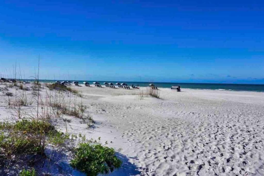 Newly Reno The Is Your Backyard Apartment St. Pete Beach