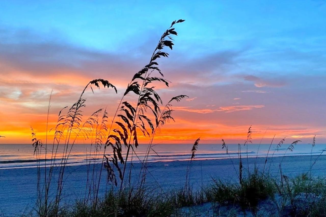 Arie Dam 102 * St. Pete Beach