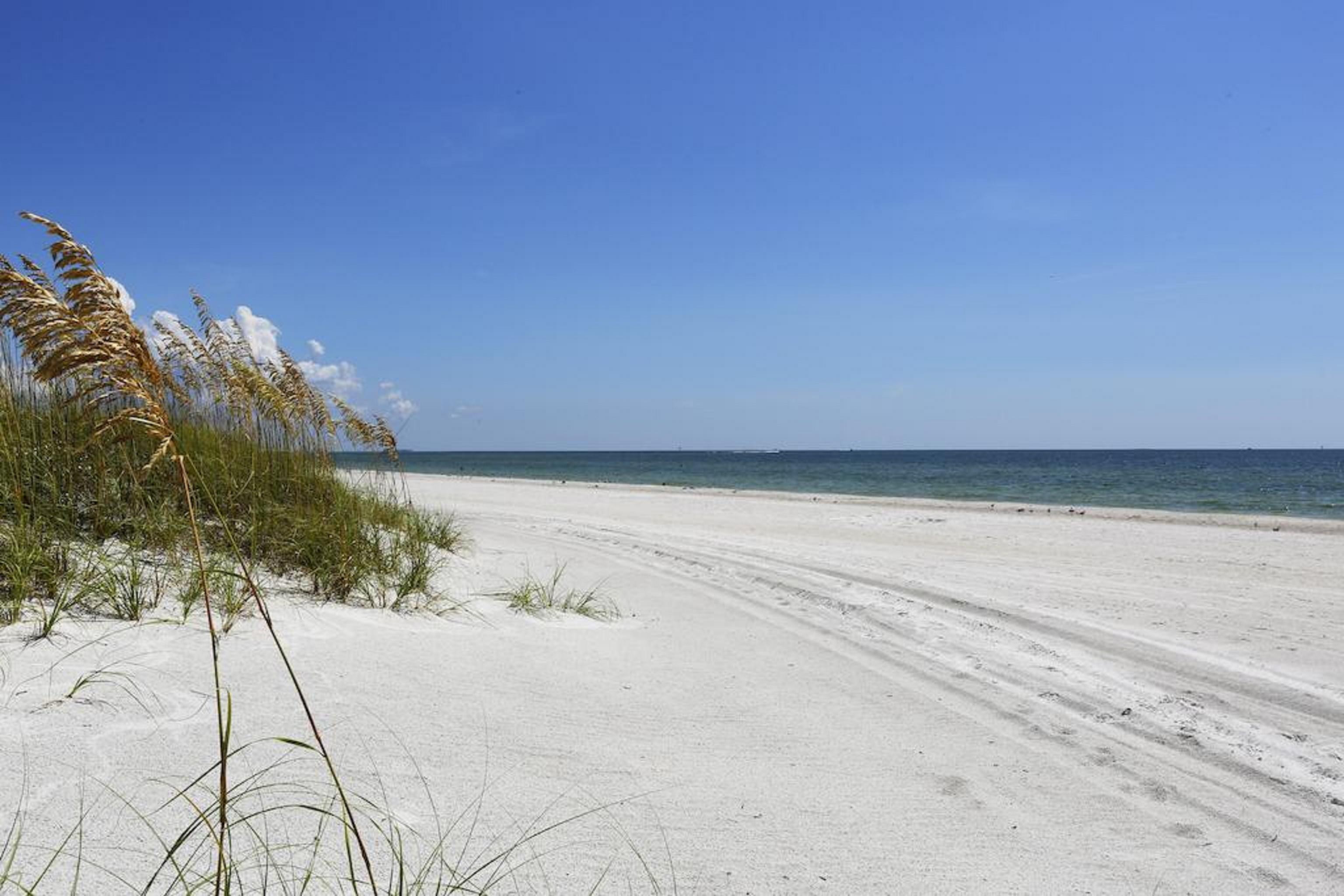 Hotel Barefoot Club St. Pete Beach