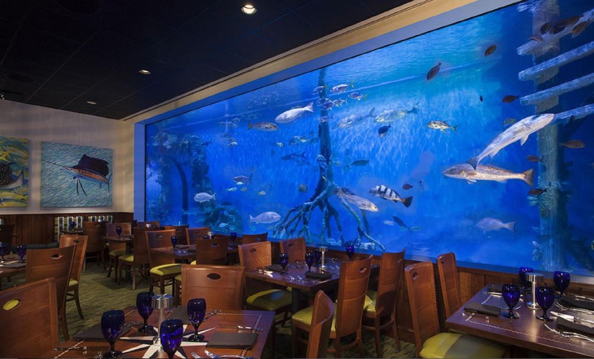 Rumfish At Tradewinds St. Pete Beach