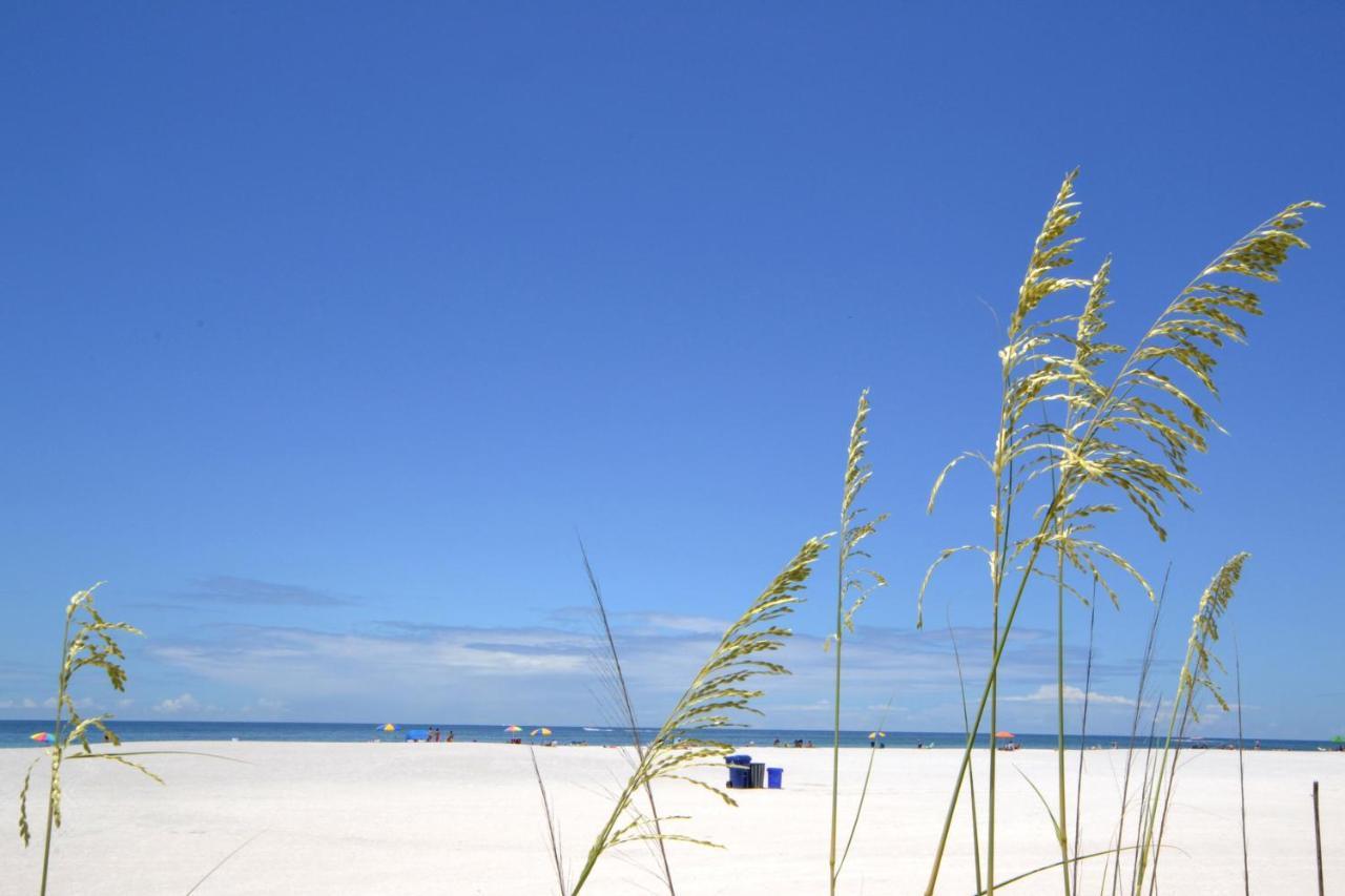 Waves 18 * St. Pete Beach