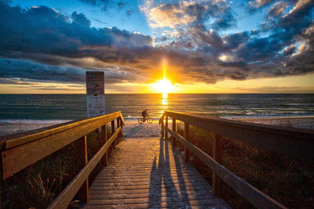 5 - Island Paradise - Sea Grape * St. Pete Beach