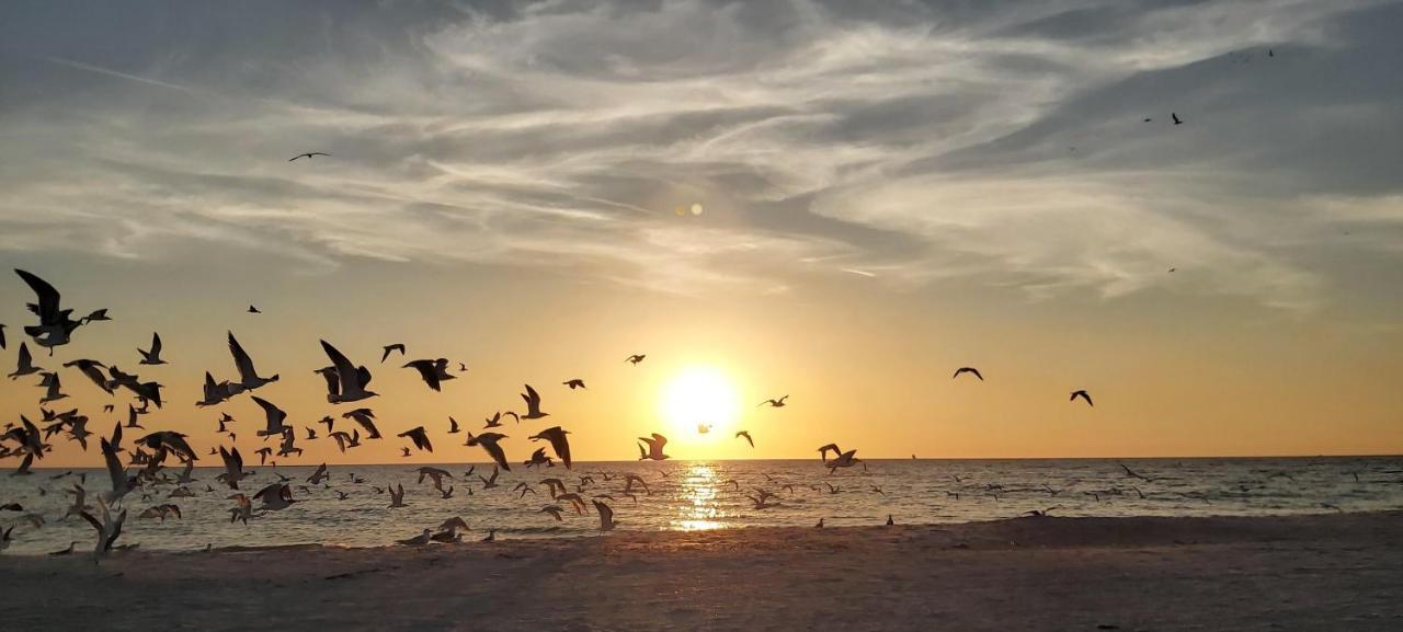 Twin Tiki 4 * St. Pete Beach