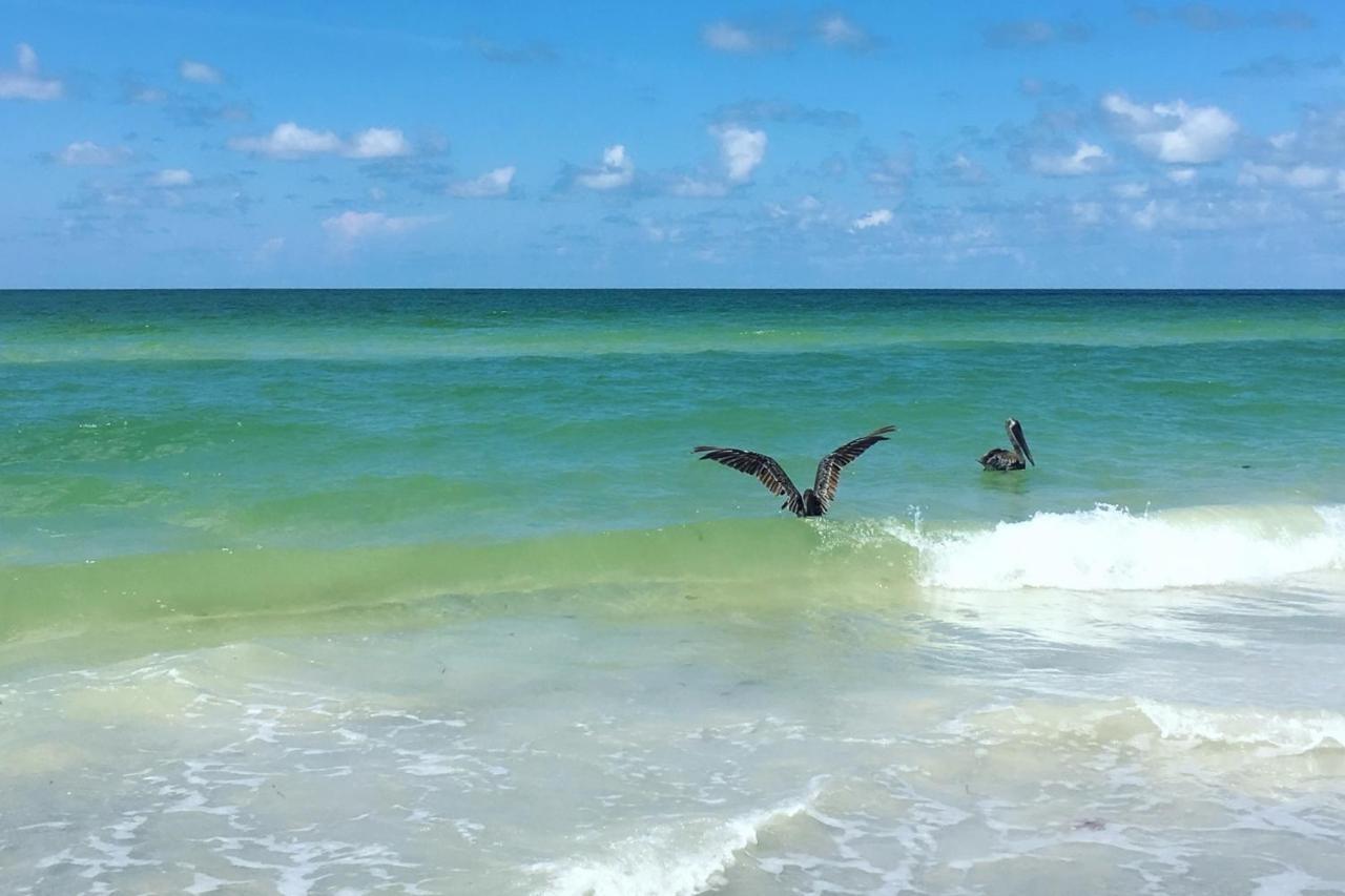 Sea Breezy - Entire *