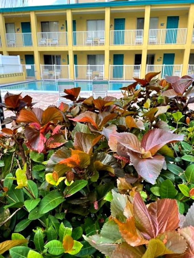 Searenity, Waterside In The Heart Of Treasure Island, Walk To *