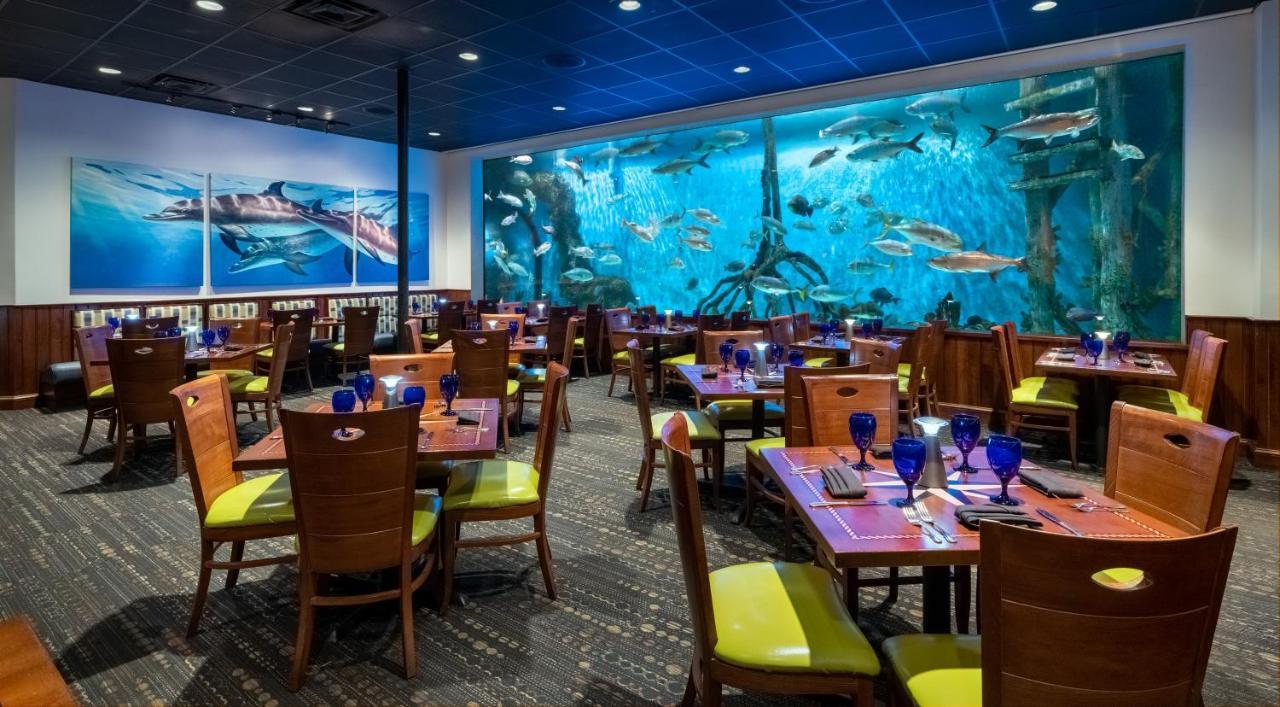 Rumfish At Tradewinds 4*