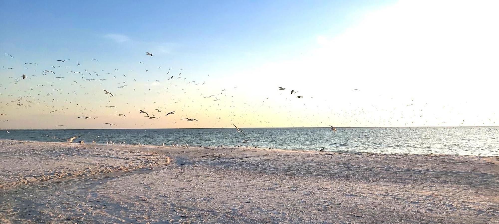 Sunset Vistas 404n Holiday home St. Pete Beach