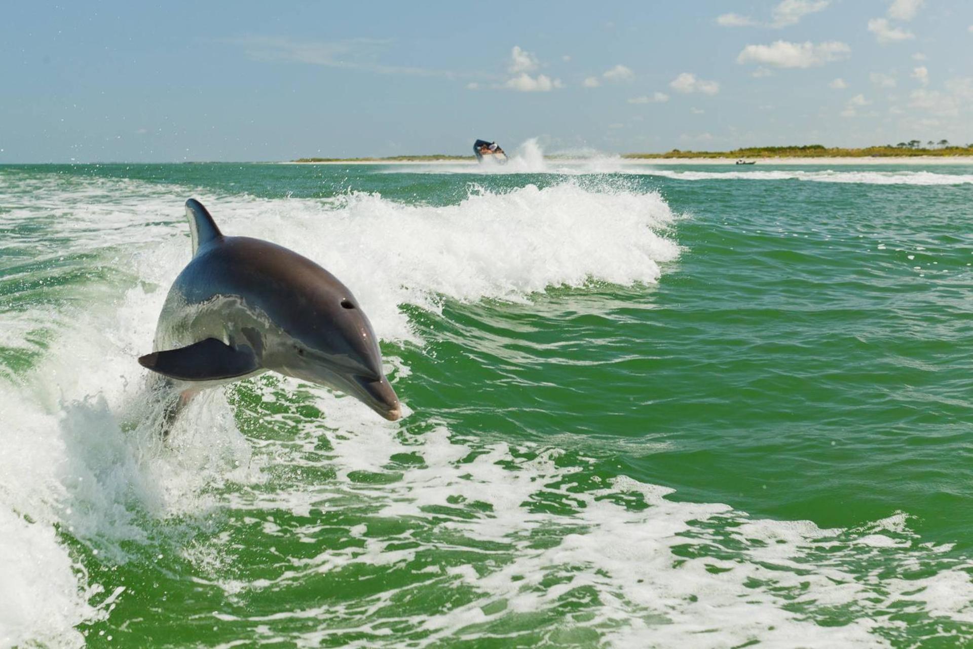 1-1004 - Ocean Sands * St. Pete Beach