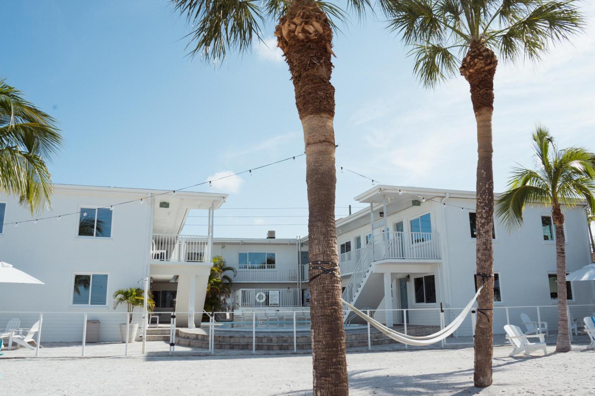 The Molloy - Treasure Island &