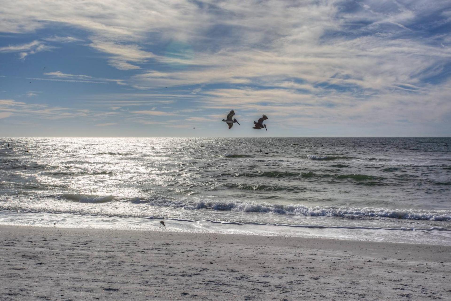 306 - Gulf Holiday home *
