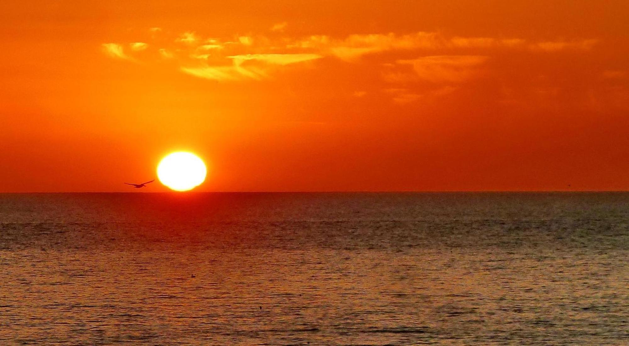 The Harbor 503 - Premier Holiday home St. Pete Beach