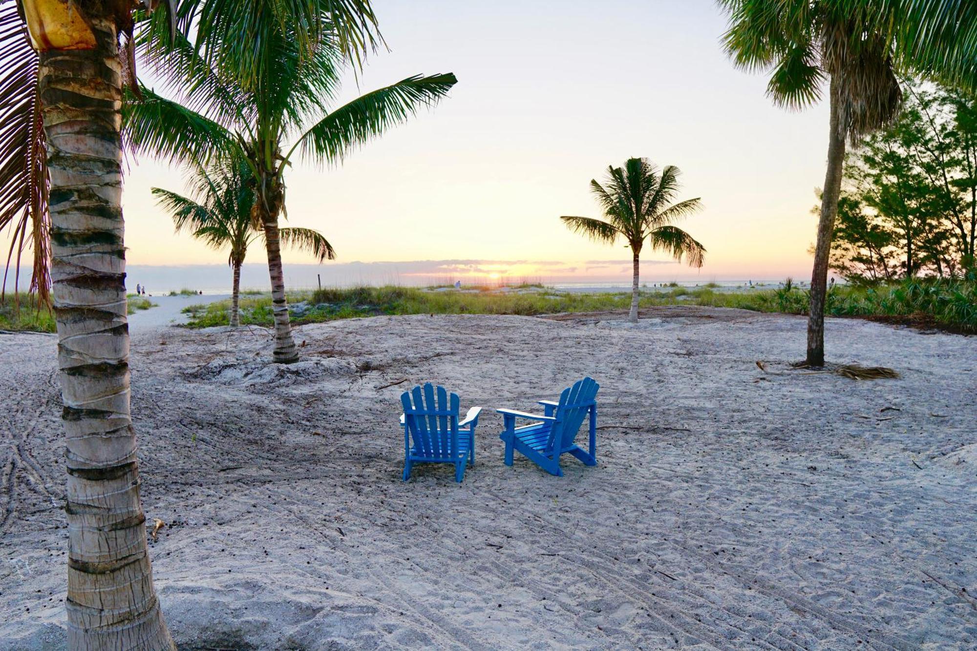 Motel The Molloy - Treasure Island & 3*