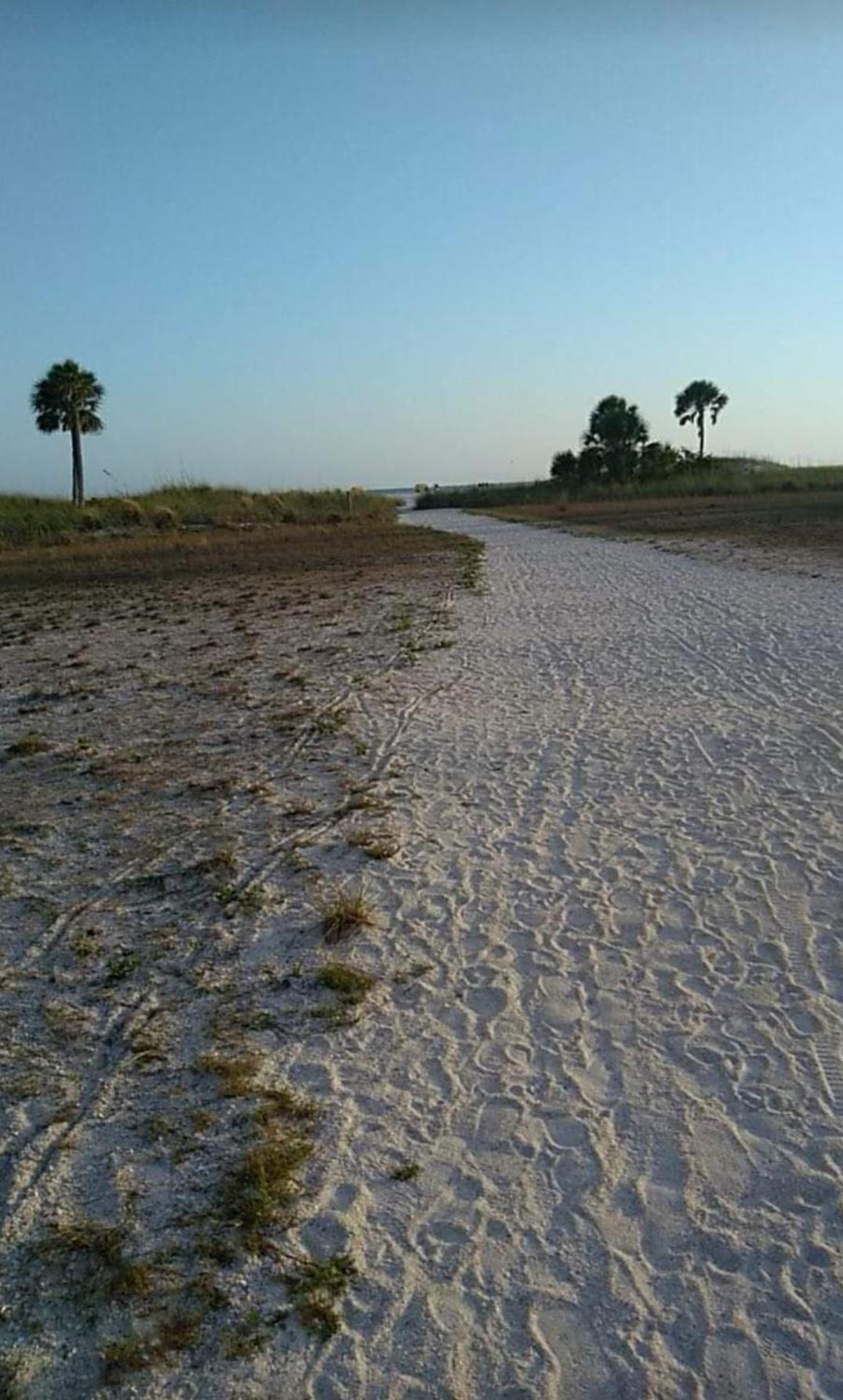 Tropic Terrace #5 - Beachfront * St. Pete Beach