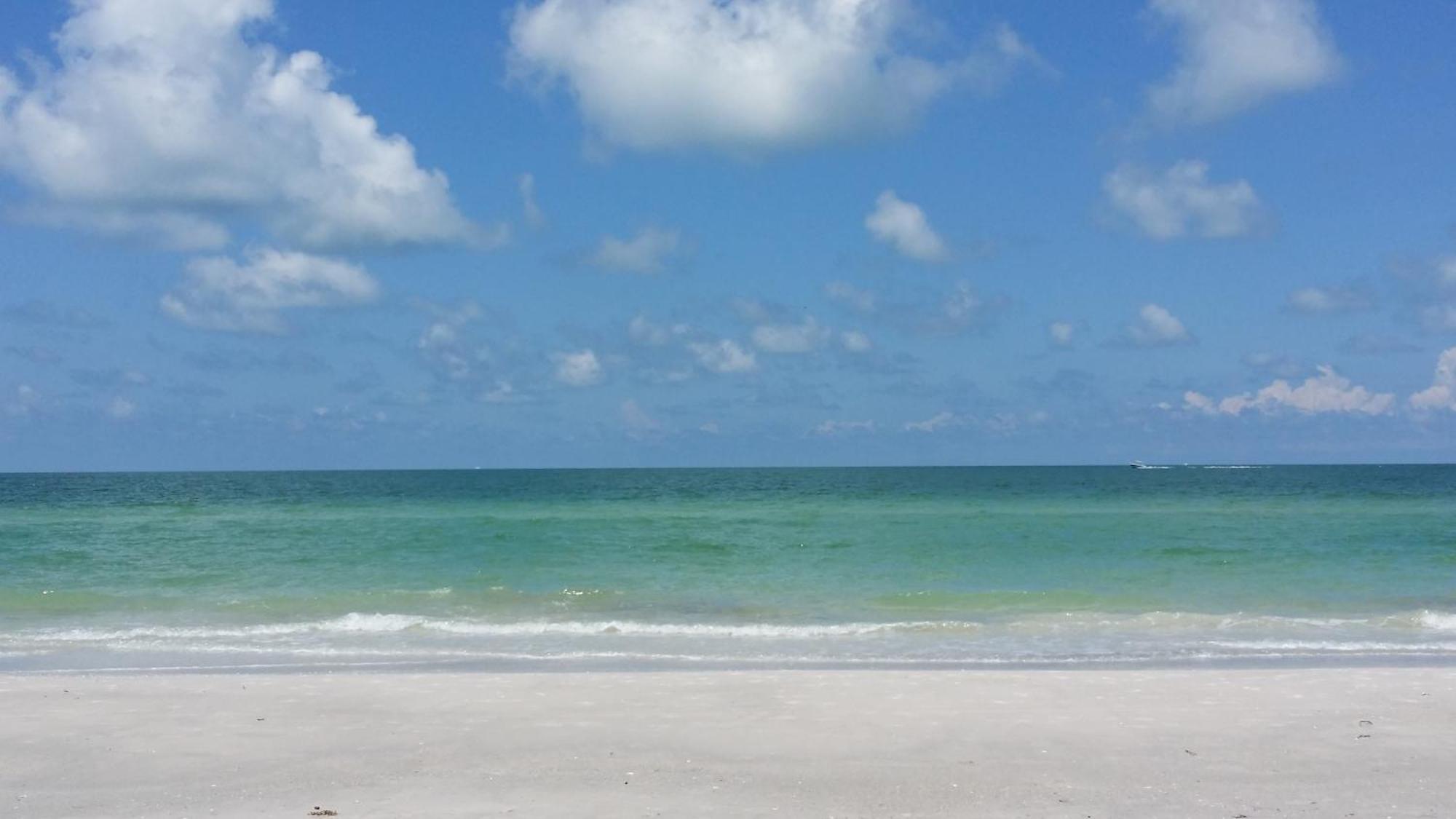 Tropic Terrace #5 - Beachfront * St. Pete Beach