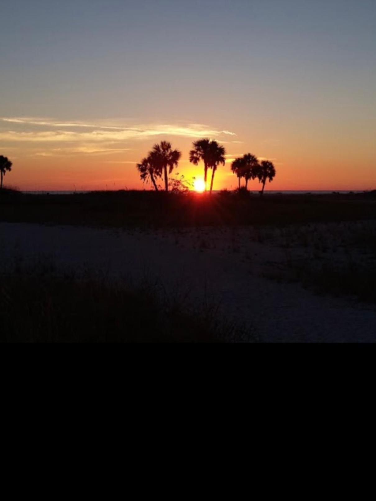 Tropic Terrace #11 - Beachfront * St. Pete Beach