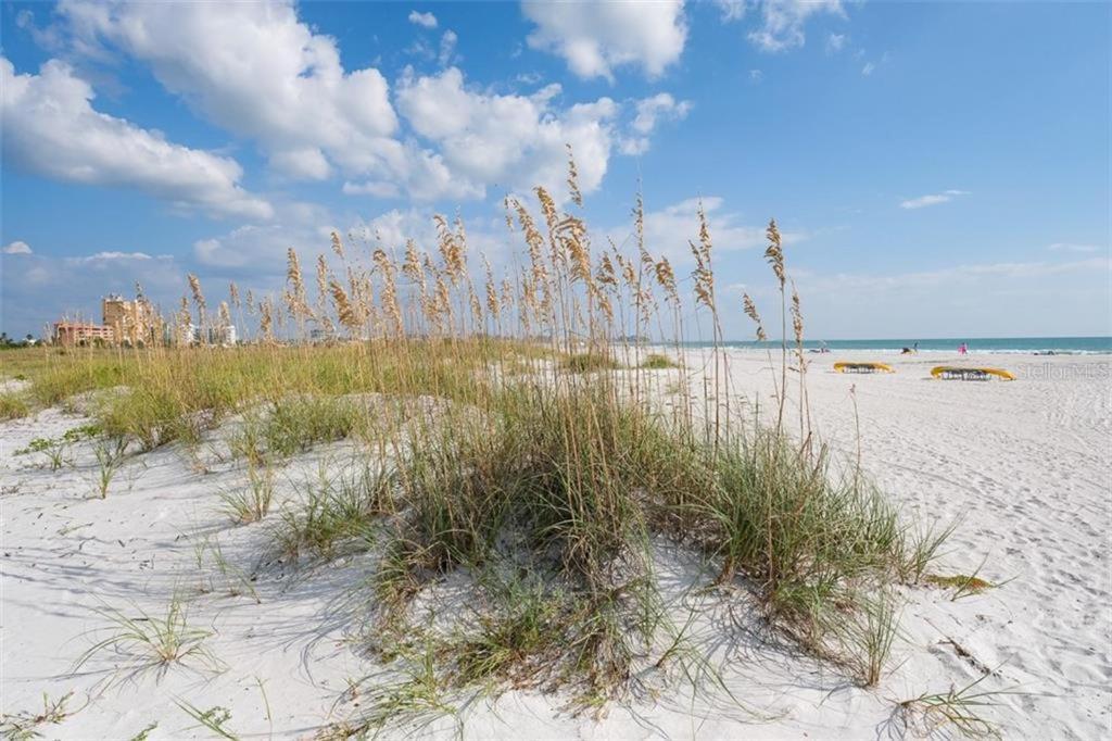 Tropic Terrace #23 - Beachfront St. Pete Beach
