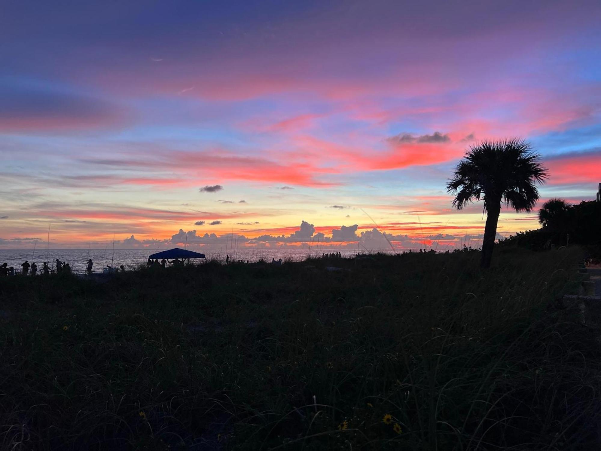 Open - Beachfront Luxury/spacious/free Amenities/walk Everywhere *