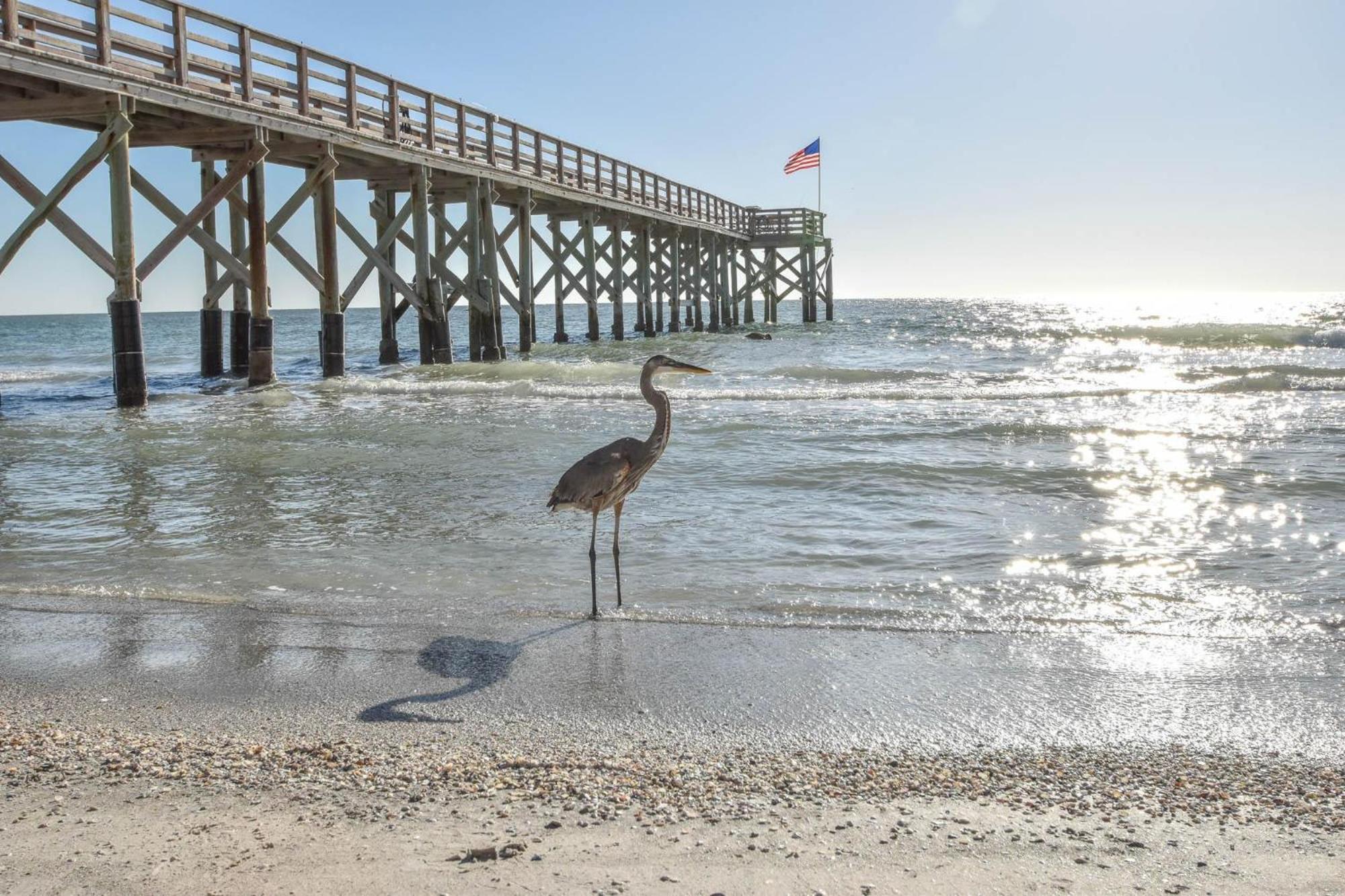 Open - Beachfront Luxury/spacious/free Amenities/walk Everywhere * St. Pete Beach