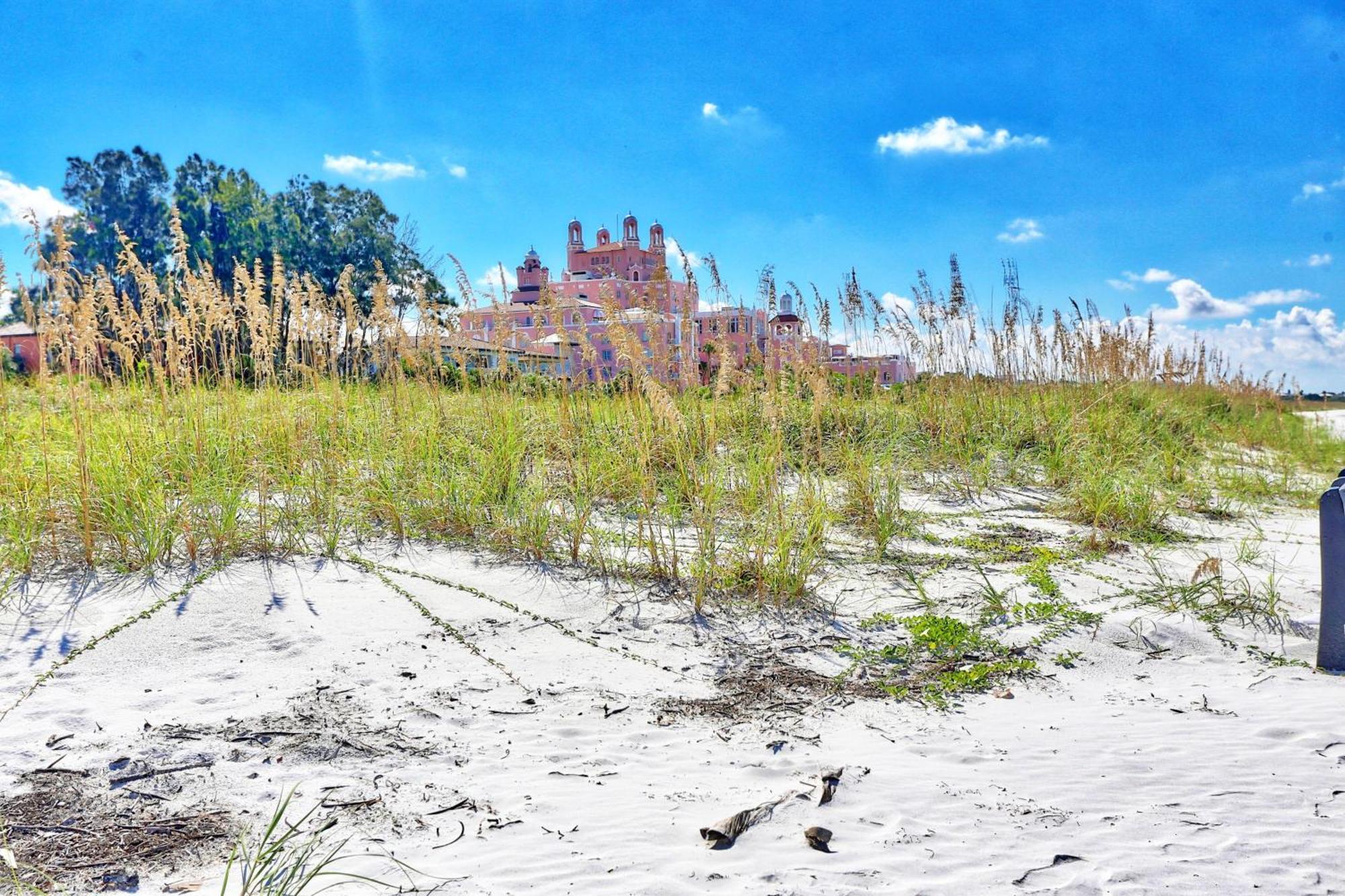 Bearadise Log Cabin * St. Pete Beach