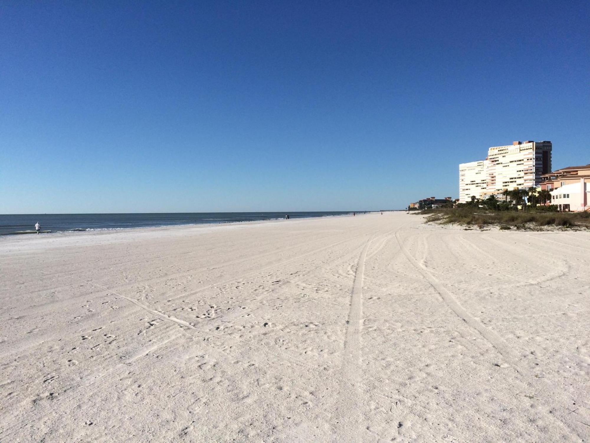 The Shores 103