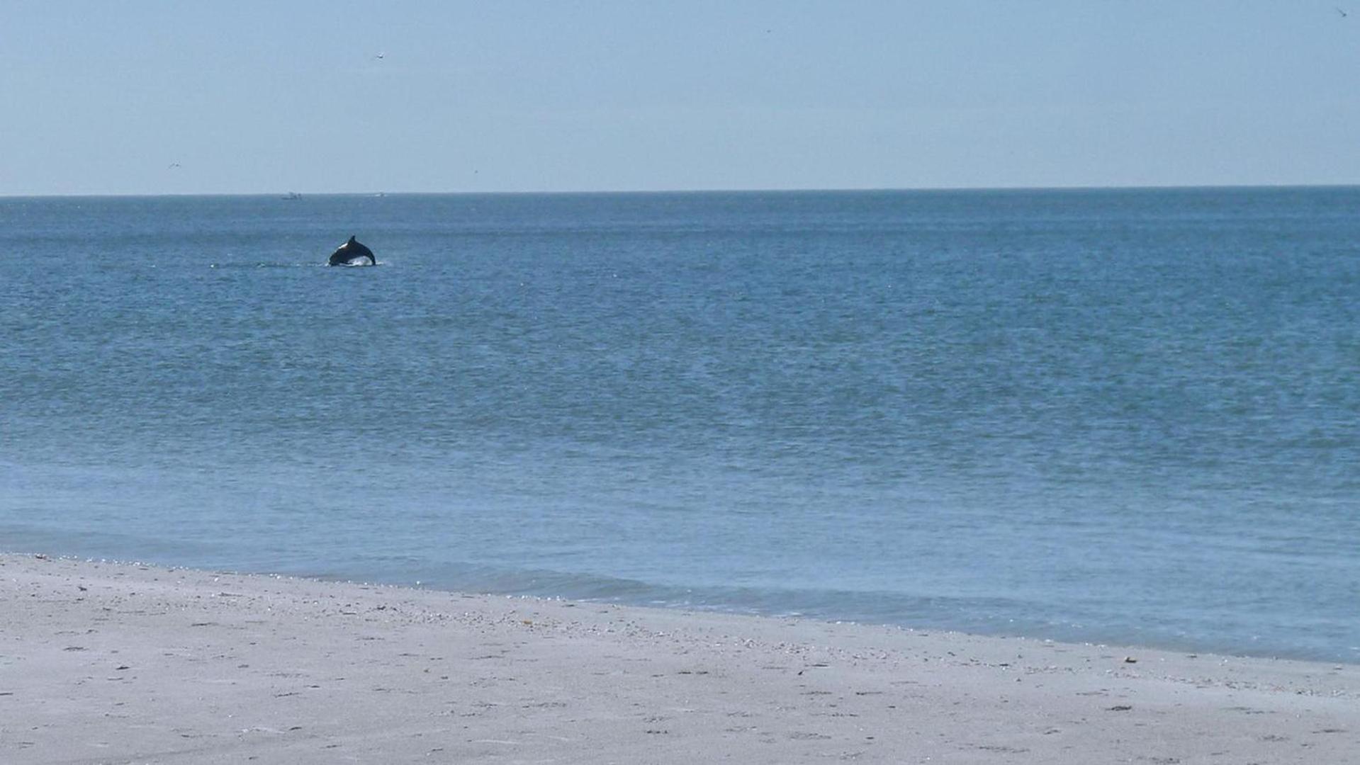 Sunset Point House * St. Pete Beach
