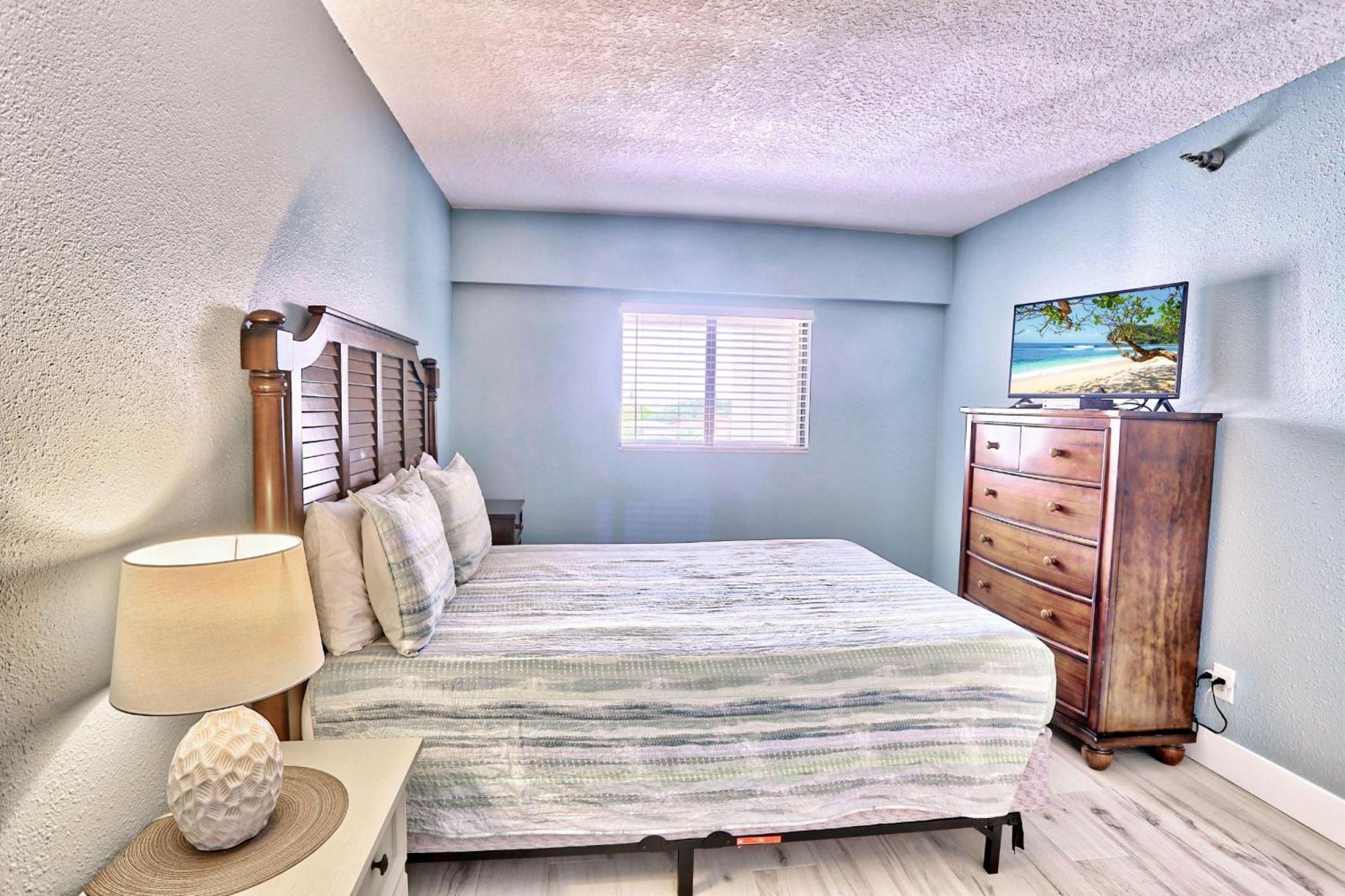 Arie Dam 202 * St. Pete Beach
