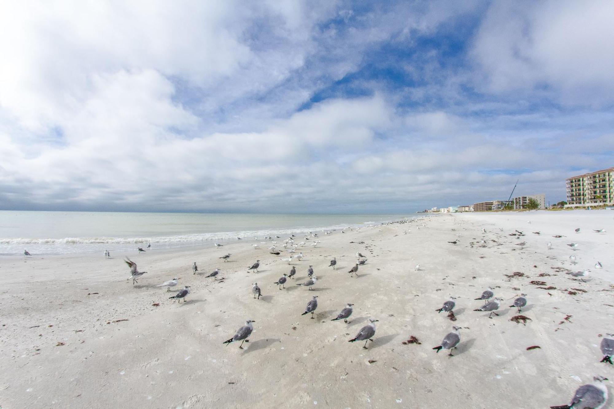 #506 Place Holiday home St. Pete Beach