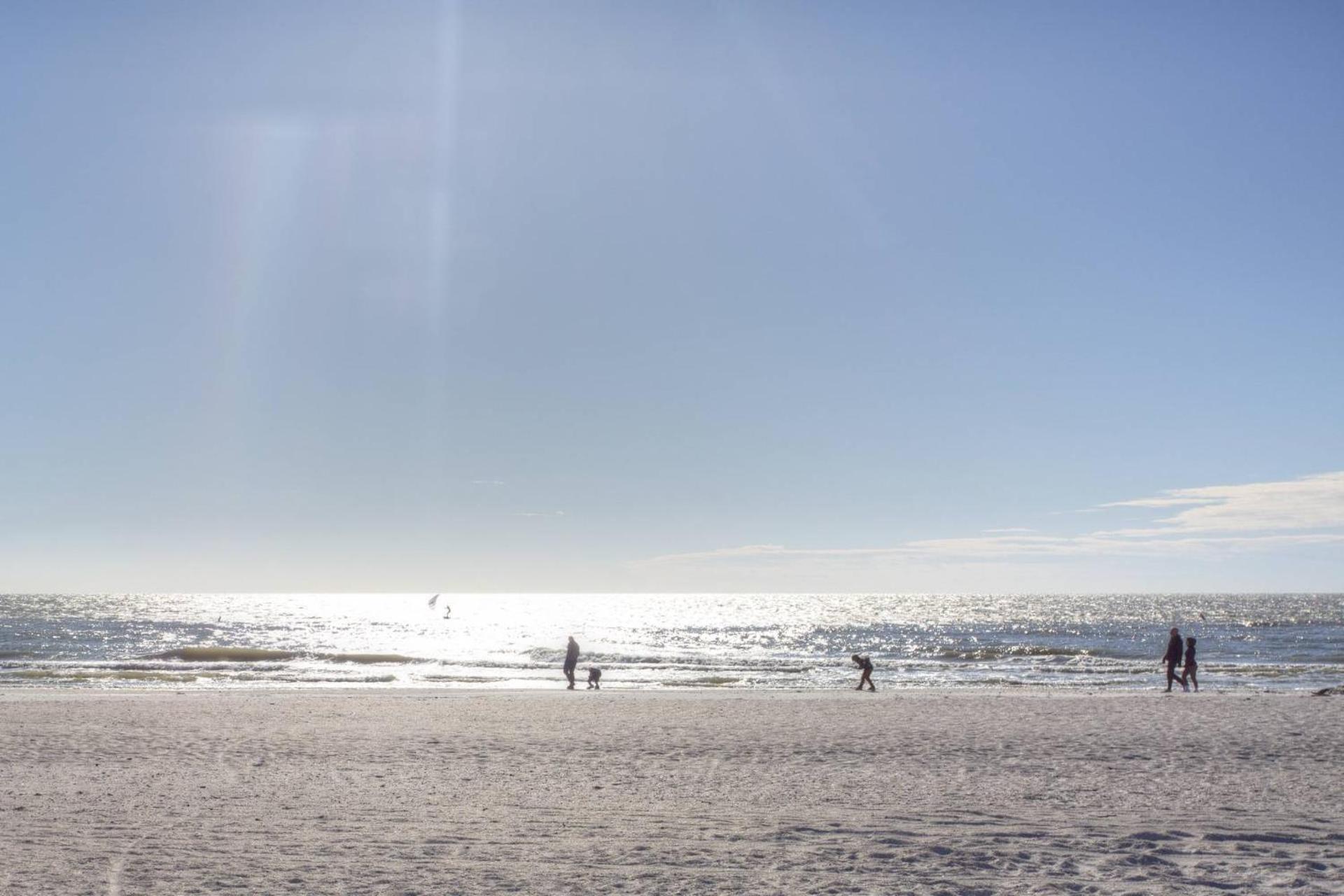 805 - Friendly Native * St. Pete Beach