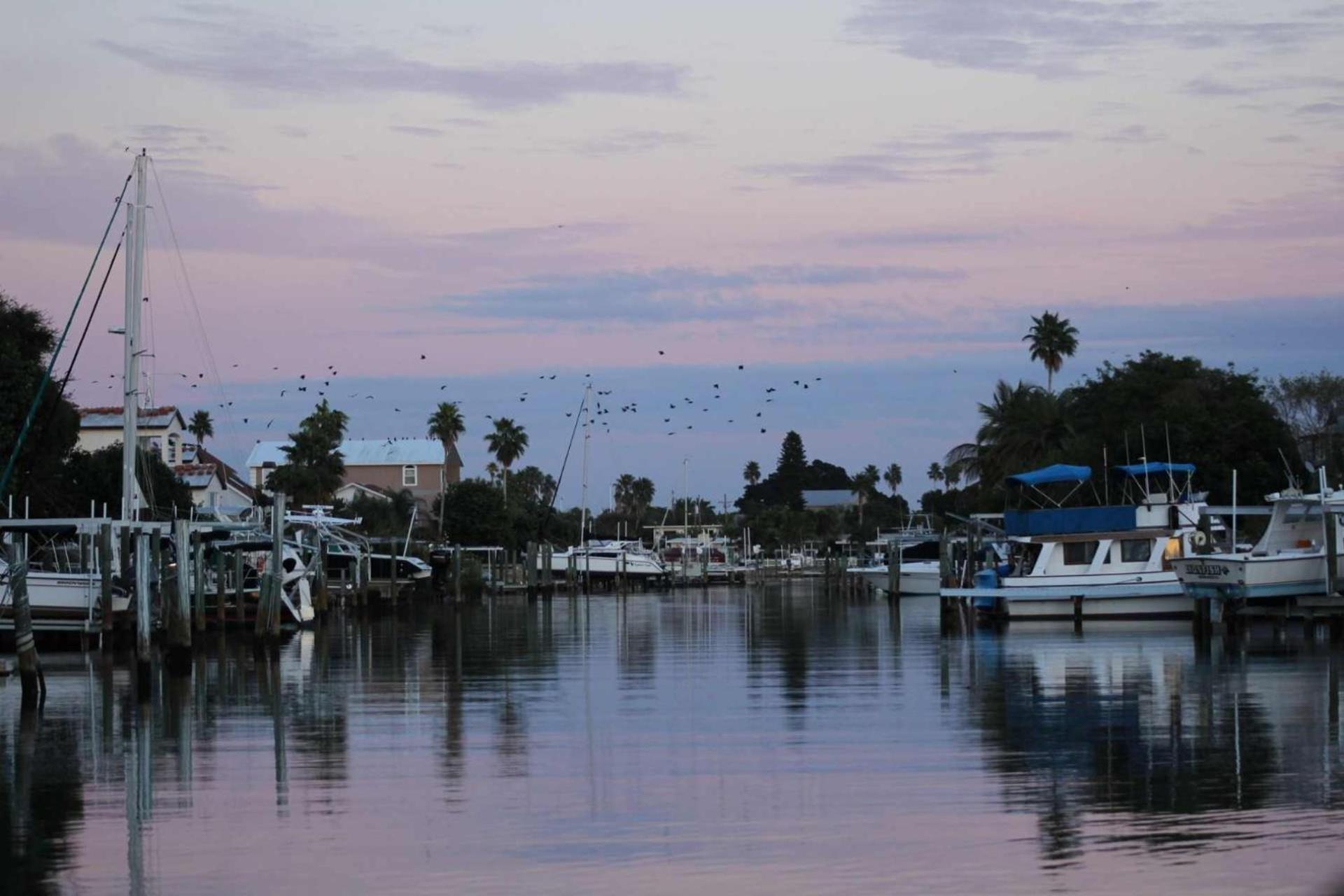 303 - Skyline - The Perky Pelican St. Pete Beach