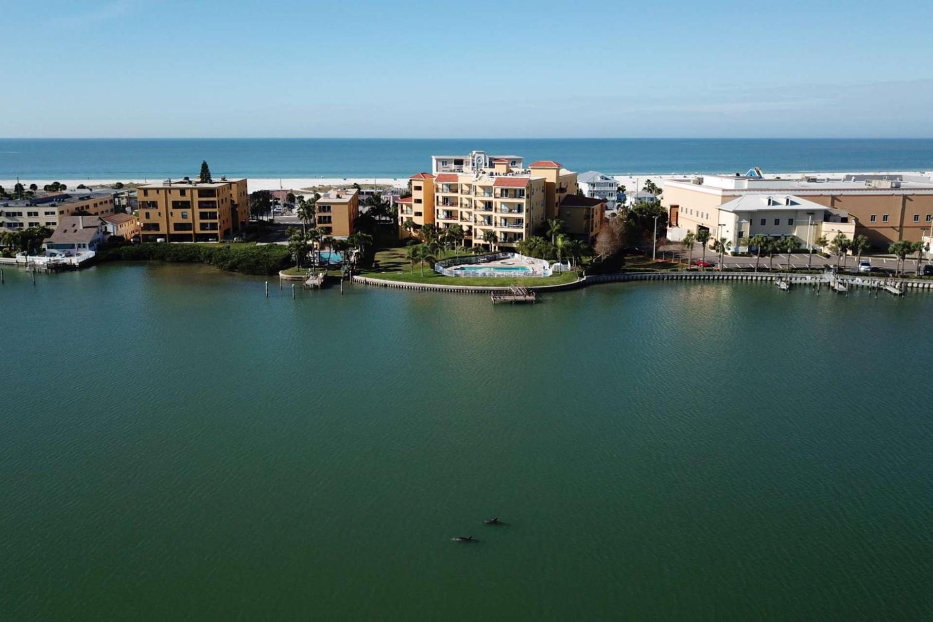 203 - Palms Of Treasure Island St. Pete Beach