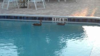 Aparthotel Malyn 3*