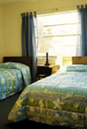 The Molloy - Treasure Island & Motel 3*