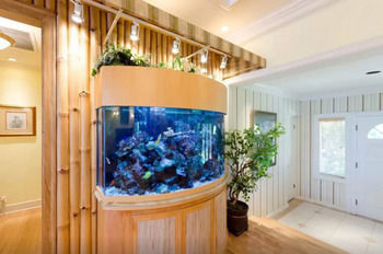 Hotel Pass-a-grille Boutique By Techtravel Vr St. Pete Beach