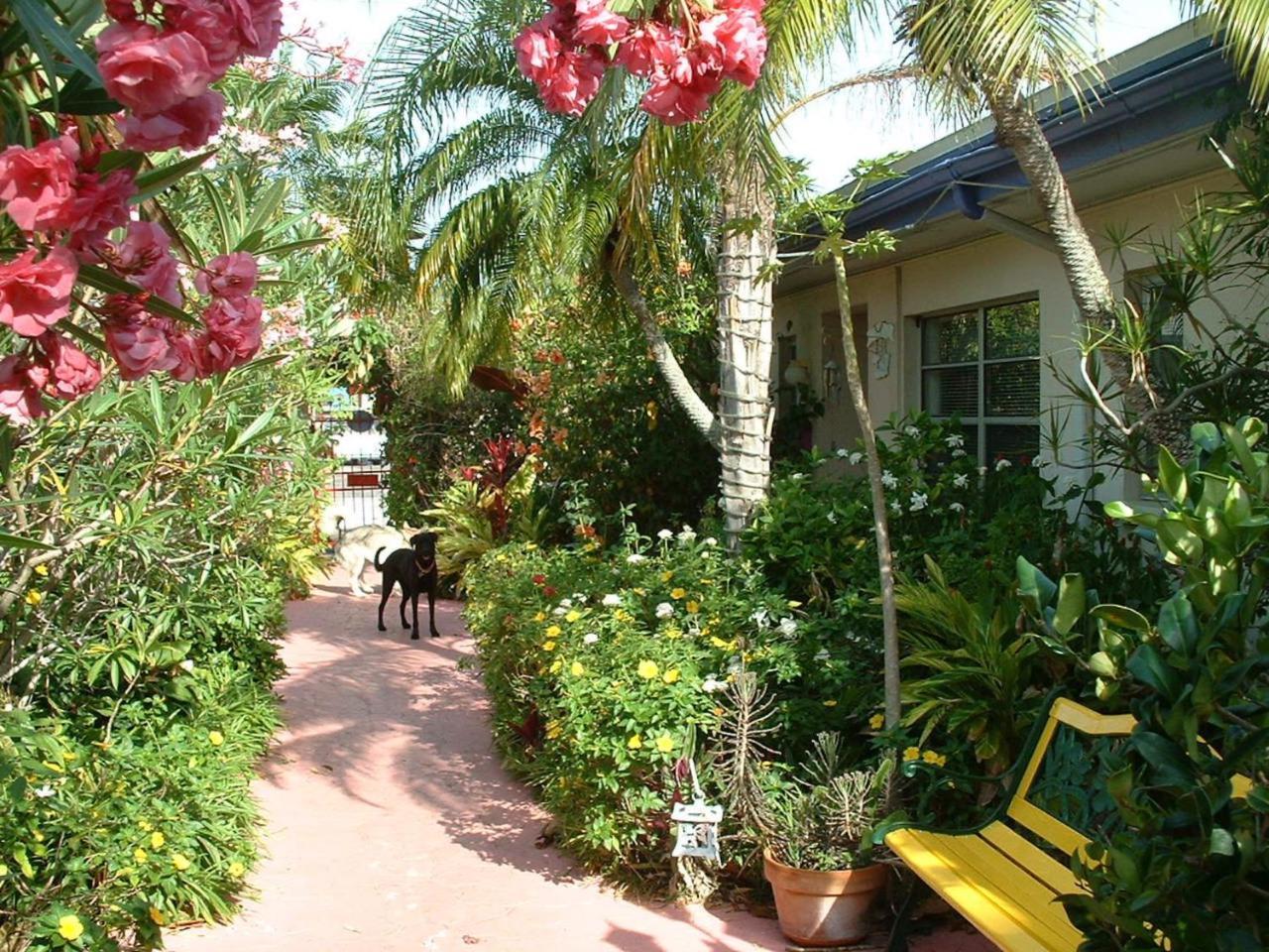 Apartment Affordable Beach - One Bedroom Dlx St. Pete Beach