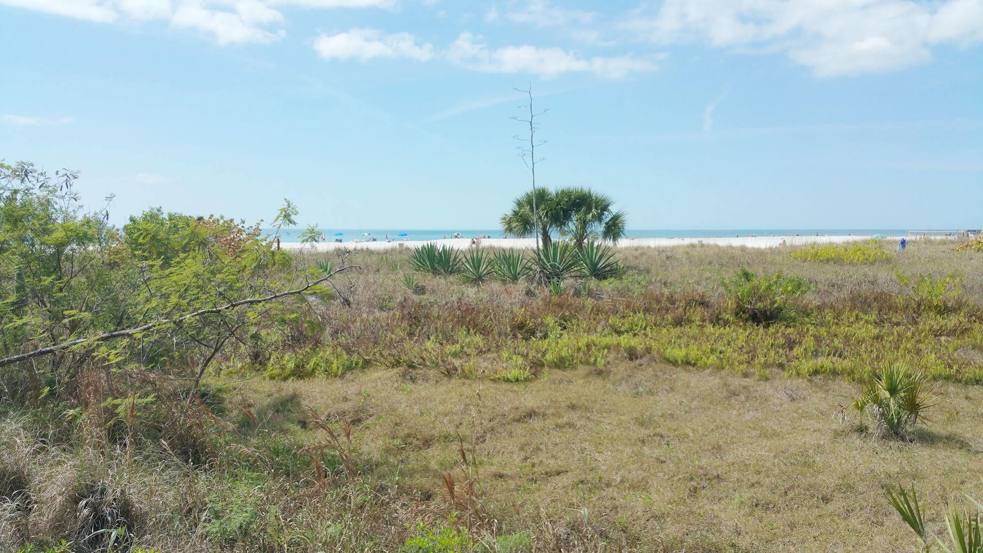 Friendly Native 3* St. Pete Beach