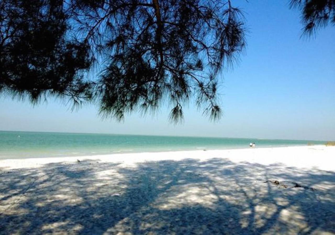 Apartment Affordable Beach - One Bedroom Dlx *