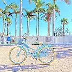 La Tortuga Historic Pass A Grille St Pete Beach 8