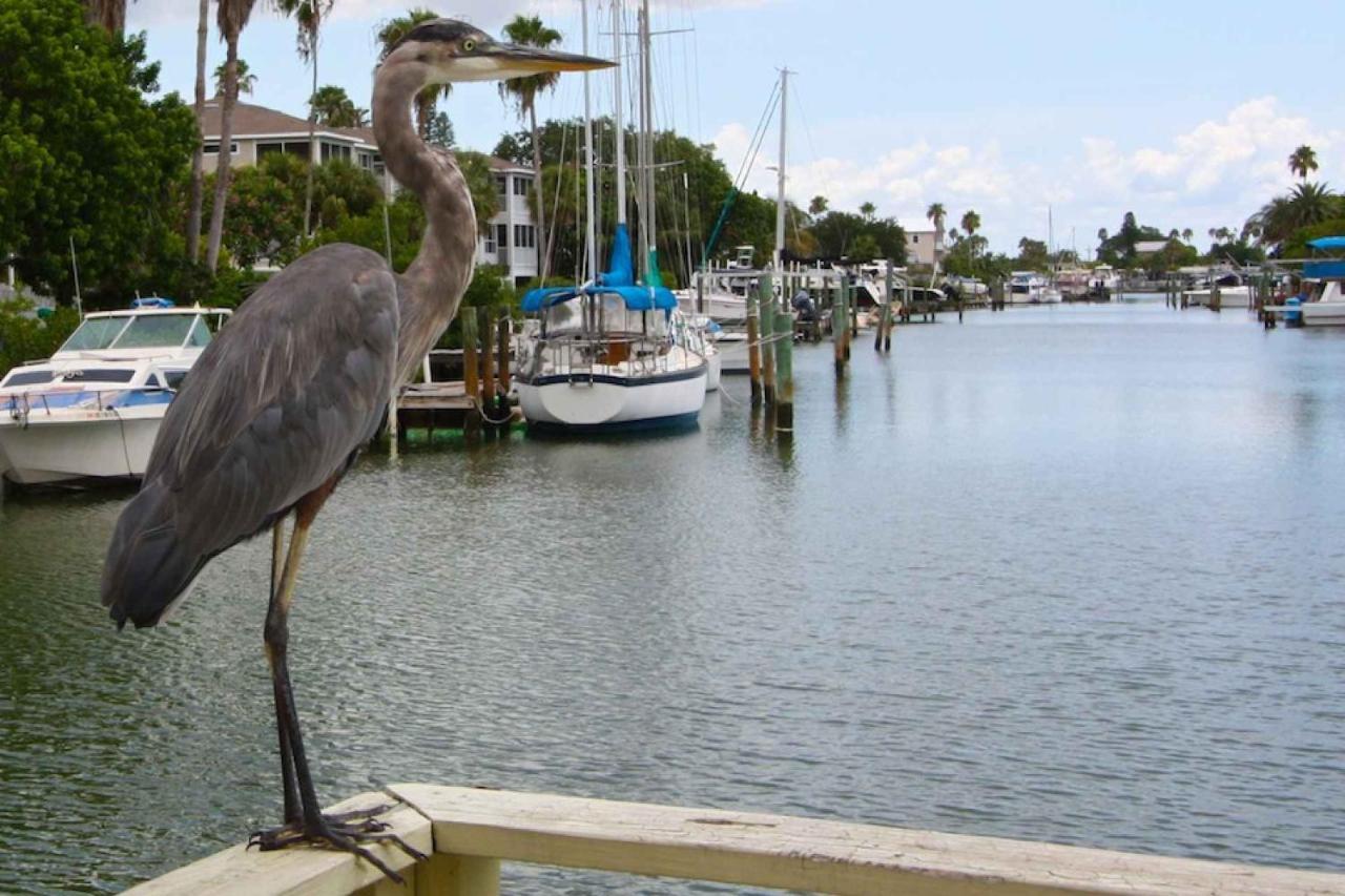 305 - Skyline * St. Pete Beach