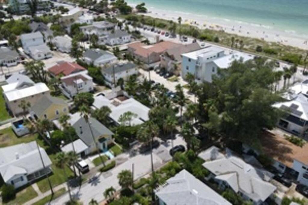Seahorse St. Pete Beach