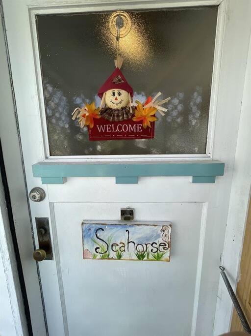 Seahorse St. Pete Beach