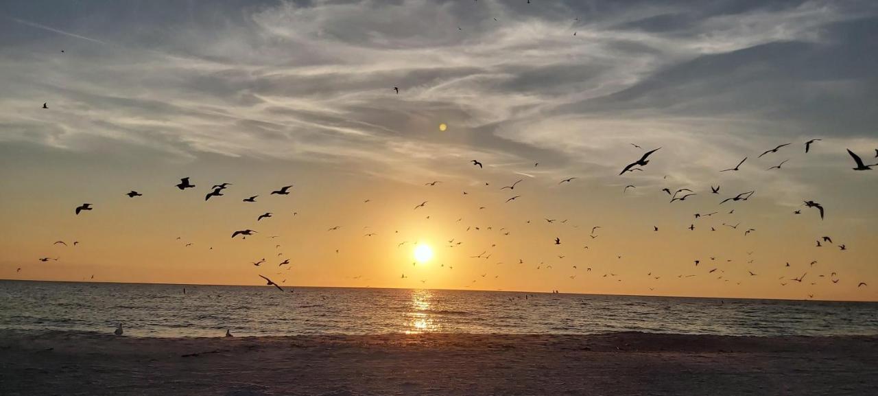 Holiday home Madeira 404 - Premier St. Pete Beach