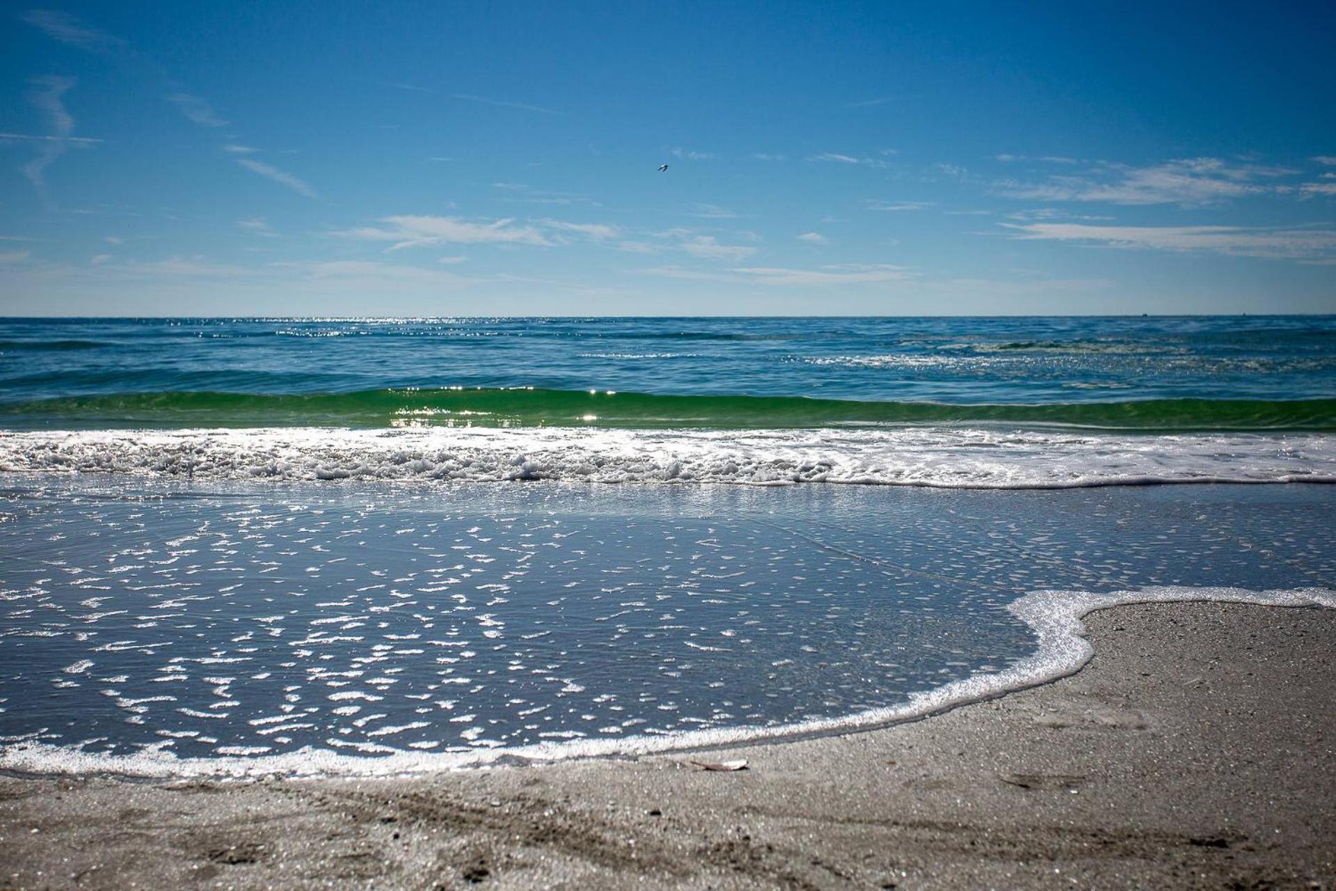 210 - Sandy Shores St. Pete Beach